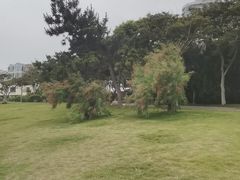 -燕儿岛山公园