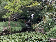 -上海醉白池公园