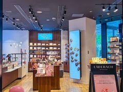 -Laderach 莱德拉(上海环贸iapm店)