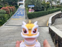 -东澳岛