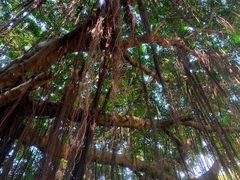 -青青世界
