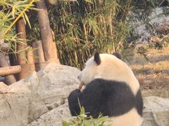 -丰台体育中心·游泳馆
