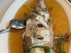 -老洋房花园饭店(绍兴路店)