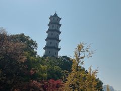-江心屿景区
