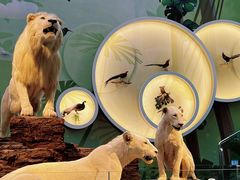 -陕西自然博物馆