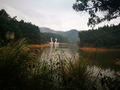 -千岛湖龙川湾