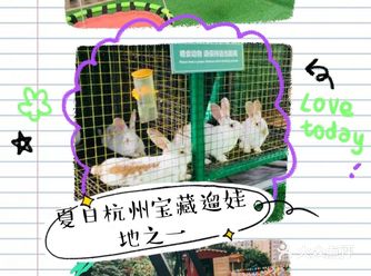 夏日遛娃‖COCO天空农场欢迎你