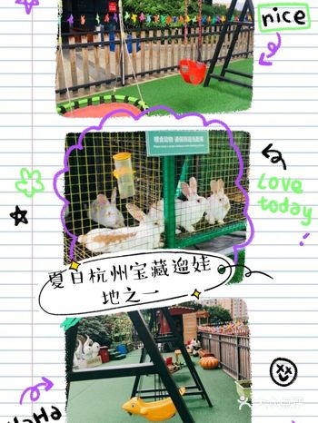 夏日遛娃‖COCO天空农场欢迎你