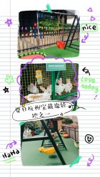 -可可天空农场(中大店)