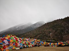 -亚拉雪山风景区