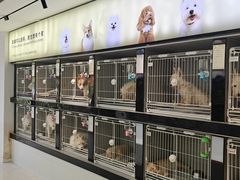 -翊宠yipet猫狗购宠庄园