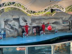 -泉州海丝野生动物世界