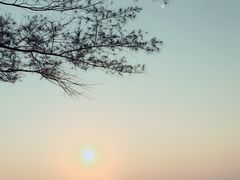 -西涌国际滨海旅游区