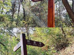 -青龙山国家森林公园