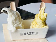 -野人牧坊Gelato(天津南开大悦城店)