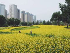 -长白岛森林公园