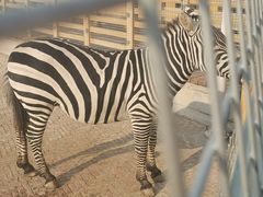 -商丘市人民公园