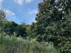 -成都市活水公园