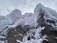 -东白山