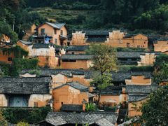 -杨家堂村
