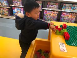 -乐高授权专卖店(浦东嘉里城店)