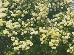 -宜兴龙背山森林公园