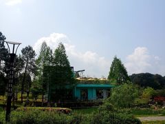 -铁山坪森林公园