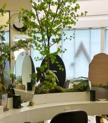 -BEAUTY HAIR GANO