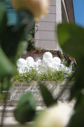 -Dr.U博士医疗美容医院