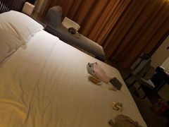 -三亚湾红树林度假世界(木棉酒店)