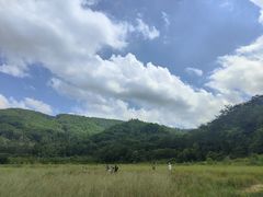 -东莞市大岭山森林公园