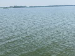 -滕州微山湖红荷湿地景区