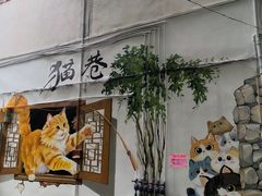 -磁器口古镇
