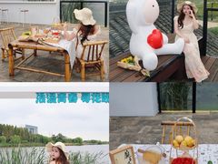 -杭州湾海上花田景区