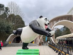 -都江堰中华大熊猫苑