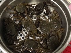-何庄子阿米玛玛农产品批发市场