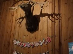 门面大气-新白鹿餐厅(城西银泰城店)