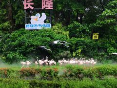 -广州长隆飞鸟乐园