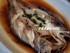 -华盛丰温州大排档(东三环南路店)