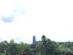 -重庆园博园