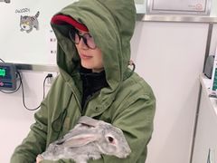 -佳雯宠物医院(四明中路分院)