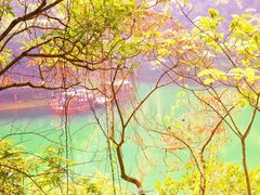 景点-鼎湖山风景区