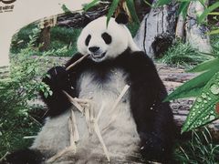 -青藏高原野生动物园