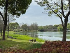 -尚贤河湿地