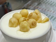 -义顺牛奶公司(新马路老店)