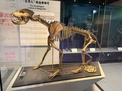 -周口店北京人遗址公园