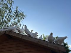 -天津妈祖文化园