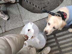-王浩儿纪六孃甜皮鸭(东大街店)