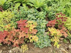 -人民公园(罗湖区)