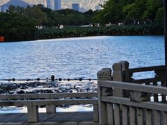 -江心屿景区